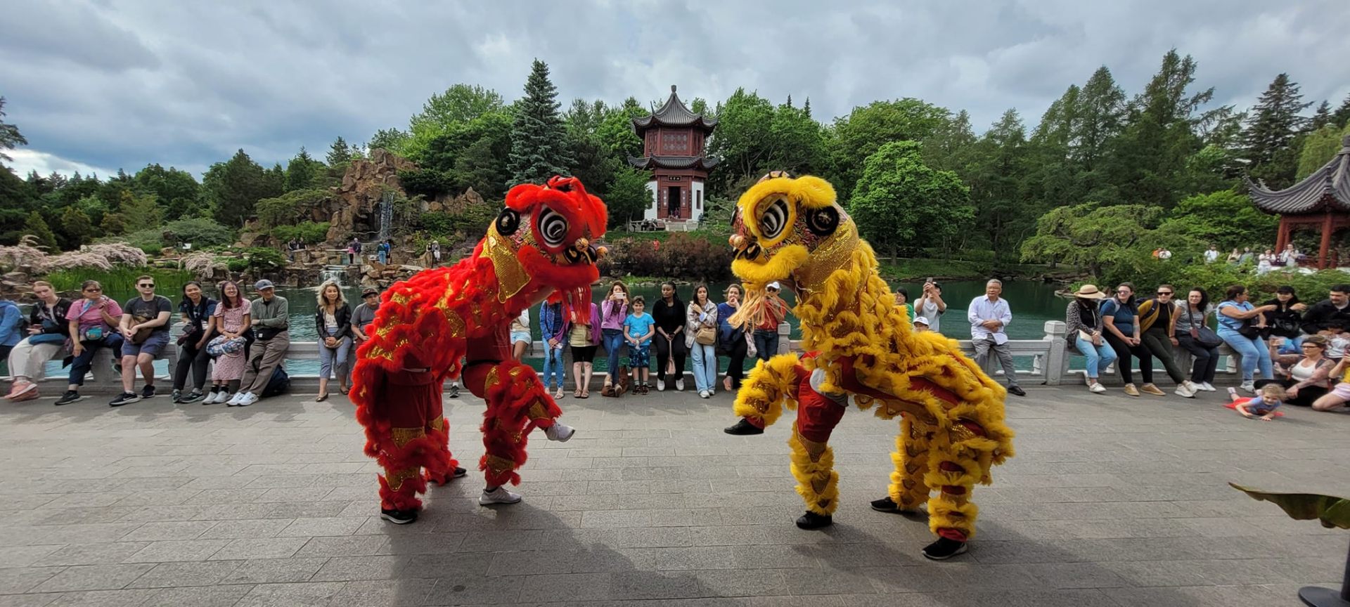 Lion & Dragon Dance